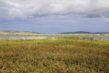 Brodgar - Orkney (Scotland), UK - August 06, 2018: The country near Ring of standing stones at Brodgar, Orkney, Scotland, Highlands, United Kingdom 