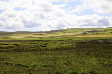 Yesnaby - Orkney (Scotland), UK - August 07, 2018: The landscape near Yesnaby cliffs area, Stromnessr, Orkney, Scotland, Highlands, United Kingdom 