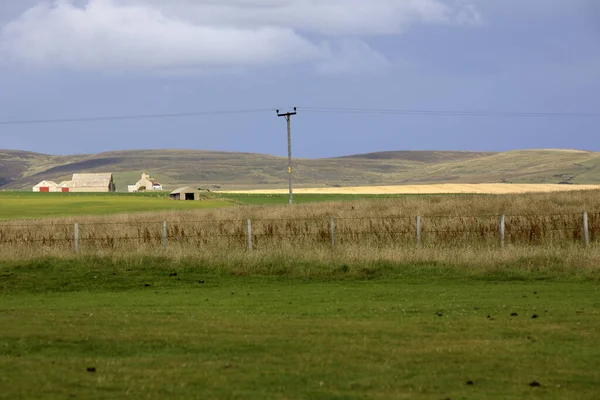 Stennessl Orkney Scotland August 2018 Country Standing Stones Stenness Island — 스톡 사진