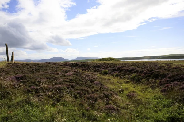 Brodgar Orkney Scozia Regno Unito Agosto 2018 Anello Pietre Piedi — Foto Stock