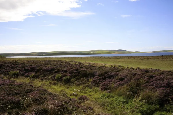 Brodgar Orkney Scotland 2018 Ring Stance Stone Brodgar Orkney Scotland — 스톡 사진