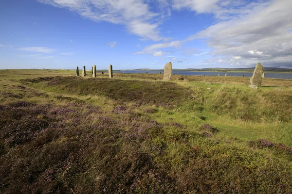 Brodgar Orkney Scotland 2018 Ring Stance Stone Brodgar Orkney Scotland — 스톡 사진