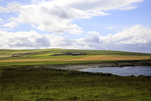 Yesnaby Orkney Scotland August 2018 Landscape Yesnaby Cliffs Area Stromnessr — 스톡 사진