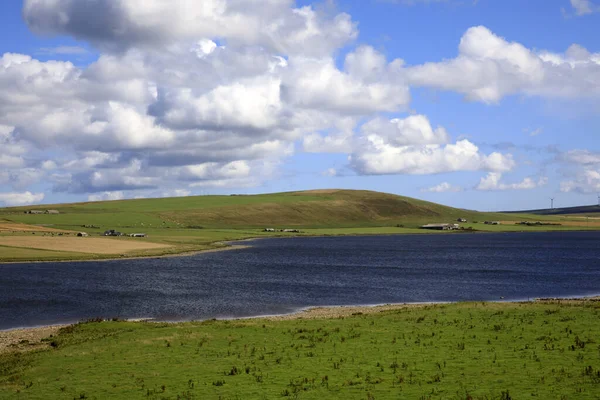 Orkney Escócia Reino Unido Agosto 2018 Paisagem Rural Meio Ilha — Fotografia de Stock