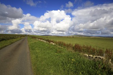 Orkney (İskoçya), Uk - 08 Ağustos 2018: Orkney adalarında tipik bir yol, İskoçya, İskoçya, Birleşik Krallık