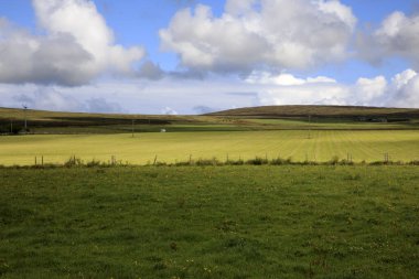 Orkney (İskoçya), Uk - 10 Ağustos 2018: Orkney adaları, İskoçya, İskoçya, İskoçya, Birleşik Krallık