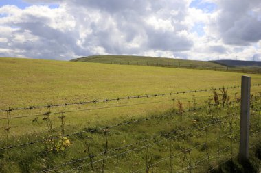 Orkney (İskoçya), Uk - 10 Ağustos 2018: Orkney adaları, İskoçya, İskoçya, İskoçya, Birleşik Krallık