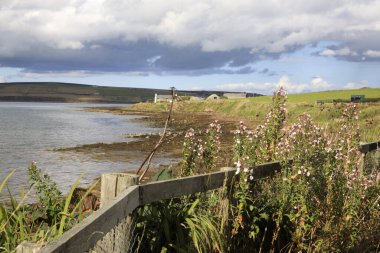 Margaret 'in Umudu - Orkney (İskoçya), Uk - 10 Ağustos 2018: Orkney adalarındaki St Margaret' s Hope köyü yakınlarındaki manzara, İskoçya, İskoçya, Birleşik Krallık