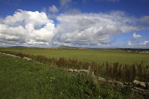 Uma Paisagem Típica Nas Ilhas Orkney Orkney Escócia Highlands Reino — Fotografia de Stock