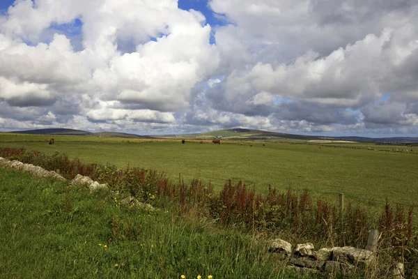 Orkney Scozia Regno Unito Agosto 2018 Paesaggio Tipico Nelle Isole — Foto Stock