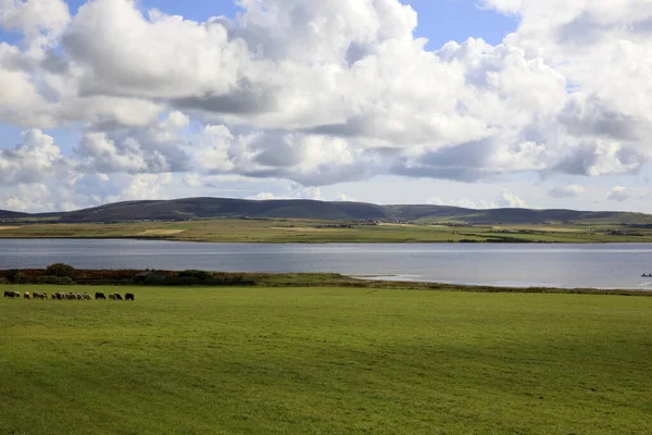 2018 Orkney Scotland August Typical Landscape Orkney Islands Orkney Scotland — 스톡 사진