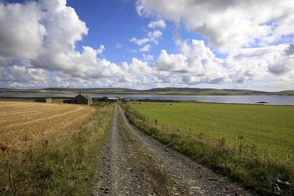 2018 Orkney Scotland August Typical Landscape Orkney Islands Orkney Scotland — 스톡 사진