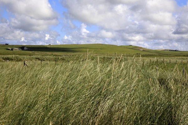 Skara Brae Orkney Skotsko Srpna 2018 Typická Krajina Orkneji Orkney — Stock fotografie