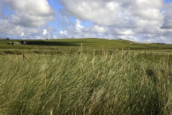 Skara Brae Orkney Skotsko Srpna 2018 Typická Krajina Orkneji Orkney — Stock fotografie