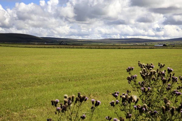 Orkney Escócia Reino Unido Agosto 2018 Uma Paisagem Típica Nas — Fotografia de Stock