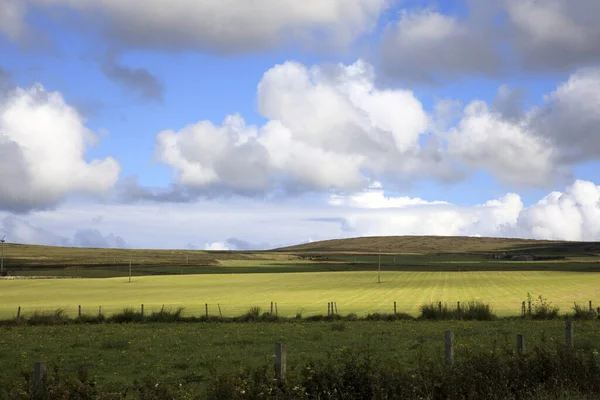 2018 Orkney Scotland Typical Landscape Orkney Islands Orkney Scotland Highlands — 스톡 사진