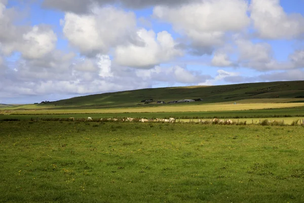 Orkney Scozia Regno Unito Agosto 2018 Paesaggio Tipico Nelle Isole — Foto Stock