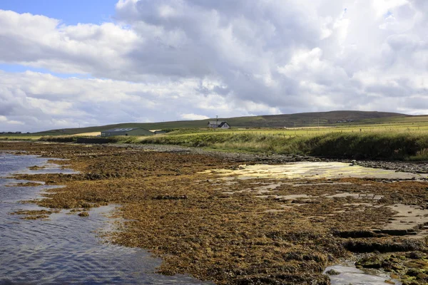 2018 Orkney Scotland Typical Landscape Orkney Islands Orkney Scotland Highlands — 스톡 사진