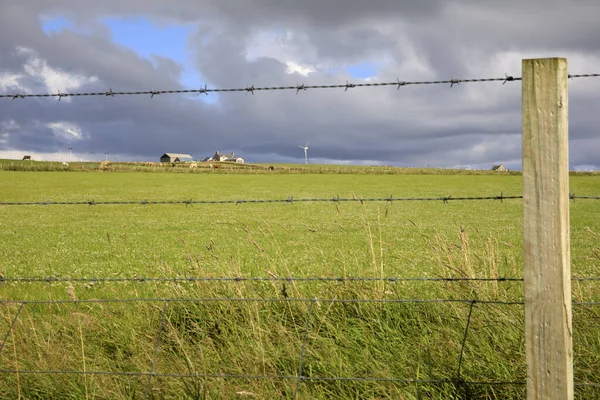 Margaret Hope Orkney Skotsko Srpna 2018 Krajina Poblíž Vesnice Margaret — Stock fotografie