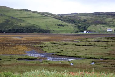 Skye Adası (İskoçya), Uk - 14 Ağustos 2018: İskoçya 'nın tipik manzarası, Skye Adası, İç Hebrides, İskoçya, Birleşik Krallık