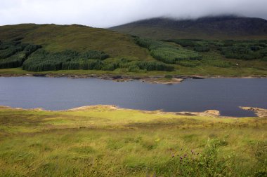Skye Adası (İskoçya), Uk - 15 Ağustos 2018: İskoçya 'nın tipik manzarası, Skye Adası, İç Hebrides, İskoçya, İngiltere