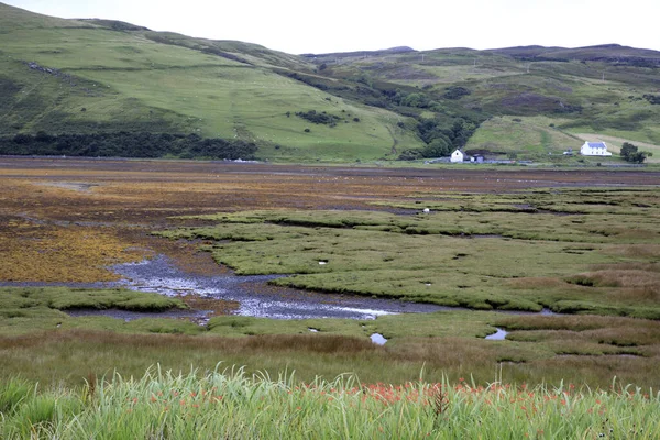 Skye Island Scotland August 2018 Τυπικό Τοπίο Της Σκωτίας Isle — Φωτογραφία Αρχείου