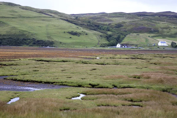 Острів Скай Шотландія Серпня 2018 Типовий Ландшафт Шотландії Острів Скай — стокове фото