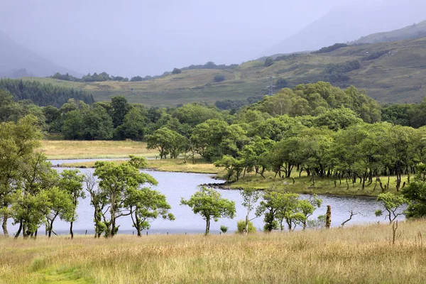 Loch Awel Escócia Reino Unido Agosto 2018 Loch Awe Escócia — Fotografia de Stock