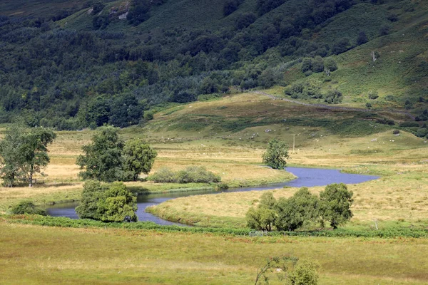 Loch Awel Skottland Storbritannien Augusti 2018 Landskapet Nära Loch Awe — Stockfoto