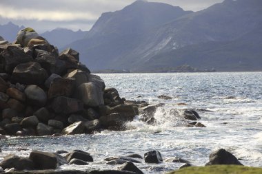Lofoten Adaları / Norveç - 28 Ağustos 2017: Vikten Sahili, Flakstad Adası, Lofoten Adaları, Nordland, Norveç, İskandinavya, Avrupa
