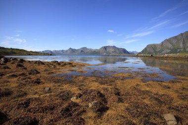 Lofoten Adaları / Norveç - 30 Ağustos 2017: Lofoten manzarası, Lofoten Adaları, Nordland, Norveç, İskandinavya, Avrupa