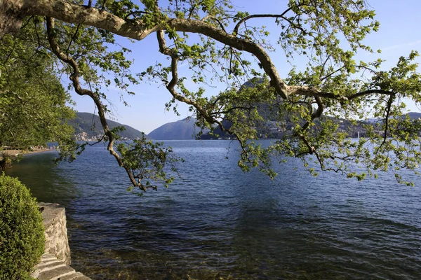 Lugano Suiza Junio 2019 Vista Lago Lugano Lugano Suiza Europa — Foto de Stock