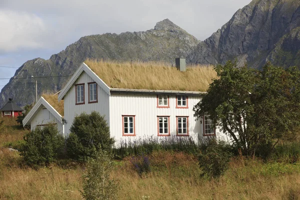 Lofoten Islands Norway August 2017 House Traditional Grass Roof Lofoten — Stock Photo, Image