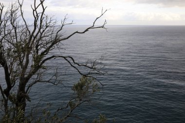 Varigotti (SV), Italy - December 30, 2017: Landscape view from Crena Point, Italian Riviera, Savona, Liguria, Italy