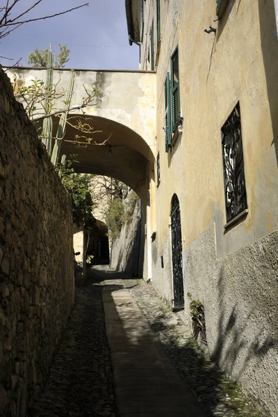 Cervo Italy December 2017 Tipycal Road Houses Cervo Village Italian — Stockfoto