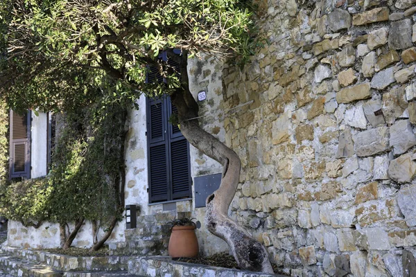 Cervo Itália Dezembro 2017 Uma Casa Típica Aldeia Cervo Riviera — Fotografia de Stock