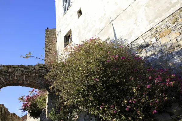 Cervo Italy December 2017 Tipycal House Cervo Village Italian Riviera — Stock fotografie