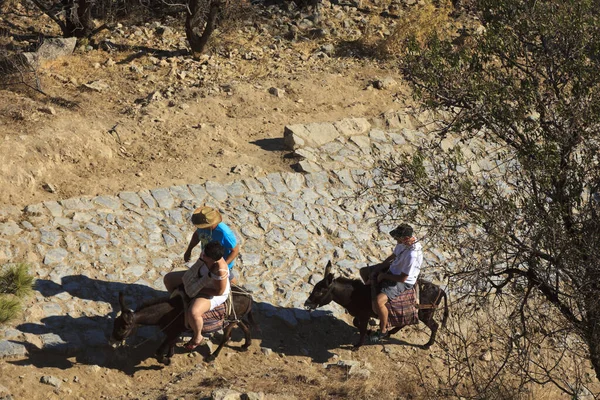 Lindos Rhodos Grekland Juni 2014 Åsnor Med Turister Lindos Rhodos — Stockfoto