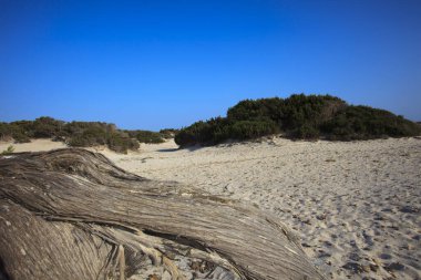 Es Trenc, Mayorka / İspanya - 25 Ağustos 2016: Es Trenc plajında bir sandık, Colonia de Sant Jordi, Mallorca, Balearic Adaları, İspanya.