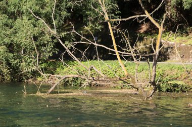 Sesto Calende (Va), İtalya - 15 Eylül 2016: Lombardy, Piedmont, İtalya 'daki Ticino nehir kenarı manzarası. 