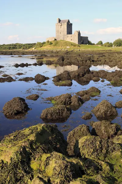 Kinvara Irlanda Julho 2016 Dungaire Castle Galway Bay County Galway — Fotografia de Stock