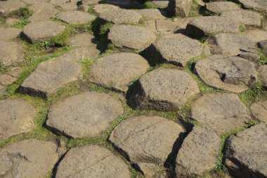 Ulster (İrlanda), - 20 Temmuz 2016: Kuzey İrlanda 'nın Antrim ilçesinin kuzey kıyısındaki Giant' s Causeway 'in çokgen bazalt kaya sütunları, Uk
