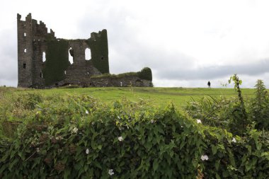 Cahersiveen (İrlanda), - 20 Temmuz 2016: Ballycarbery Castle, Cahersiveen, County Kerry, İrlanda