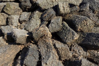 Connemara (İrlanda), - 20 Temmuz 2016: Connemara, Co. Galway, İrlanda