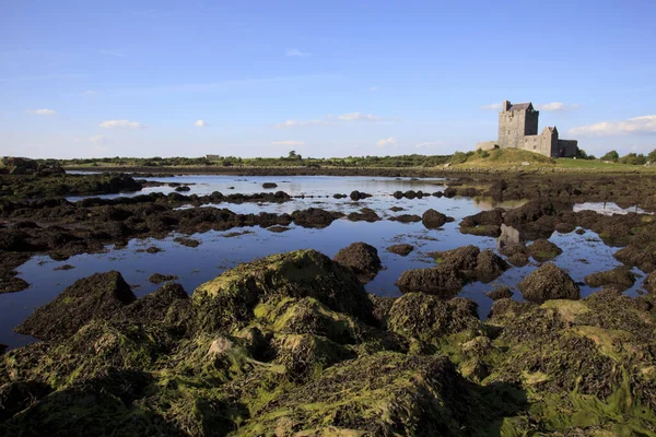 Kinvara Rlanda Temmuz 2016 Dungaire Castle Galway Bay County Galway — Stok fotoğraf