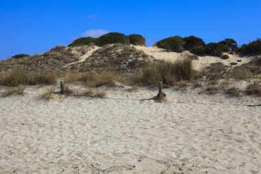 Son Bou, Menorca / İspanya - 22 Haziran 2016: Son Bou plajı Alaior, Menorca, Balearic Adaları, İspanya