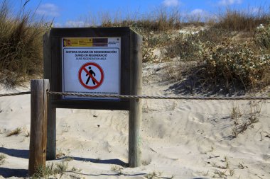 Son Bou, Menorca / İspanya - 22 Haziran 2016: Son Bou plajındaki kum tepeleri parkı Alaior, Menorca, Balearic Adaları, İspanya