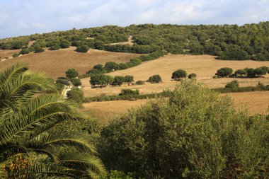 Menorca / İspanya - 22 Haziran 2016: Menorca ülke manzarası, Balearic Adaları, İspanya