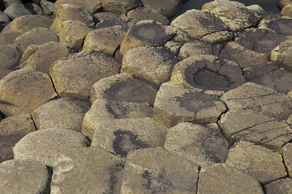 Ulster (Ireland), - July 20, 2016: Polygonal basalt lava rock columns of the Giant\'s Causeway on the north coast of County Antrim, Northern Ireland, U