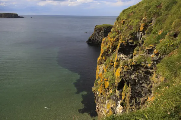 Ballintoy Ireland July 2016 Coastal Scenery Carrick Rede Causeway Coast — Stock Photo, Image